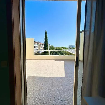 Flores Senhora da Hora