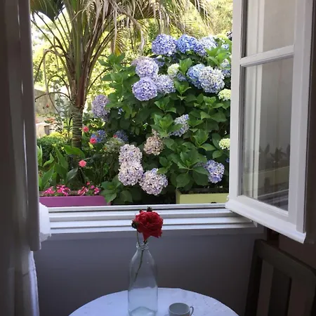 Flores Senhora da Hora