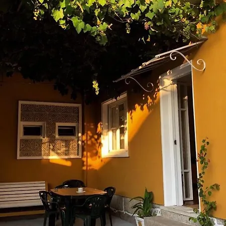 Auberge de jeunesse Flores Senhora da Hora
