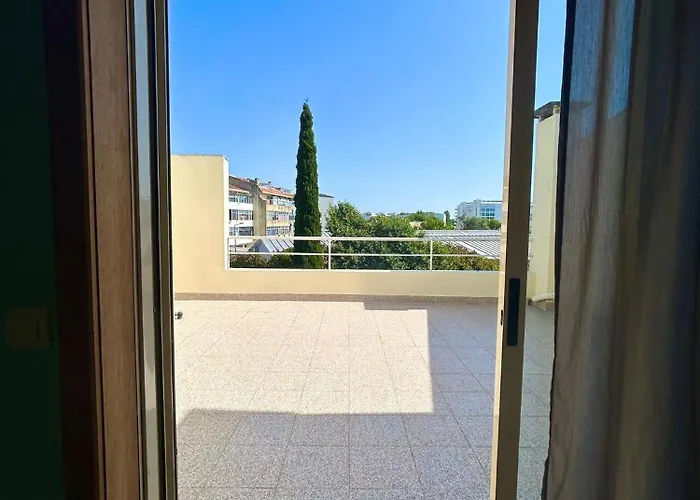 Flores Senhora da Hora